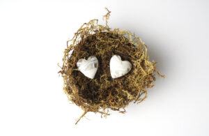 Nesting: Is It Right For Your Family Post-Divorce?